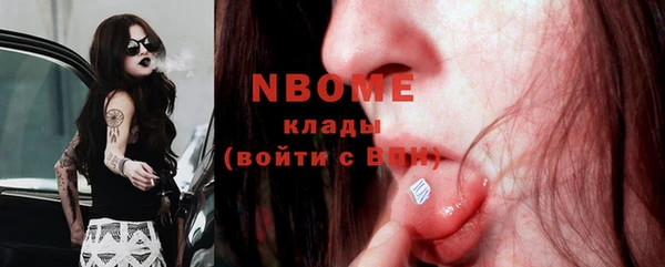 индика Кукмор