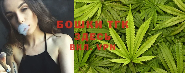 крисы Ладушкин