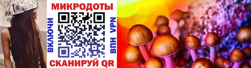 Псилоцибиновые грибы мухоморы  наркотики  Называевск 